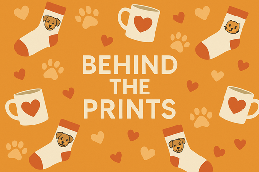 Behind the Prints - The Story of Print A Sock's Ever-Growing Gift Collection