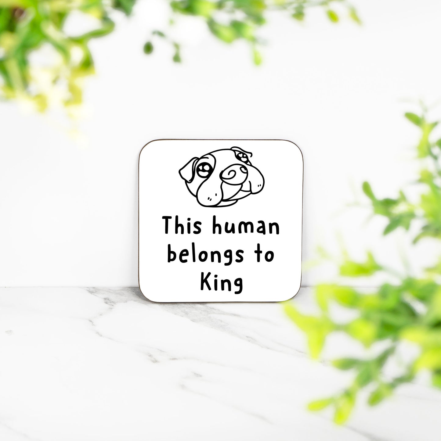 Personalised This Human Belongs To Dog - Coaster